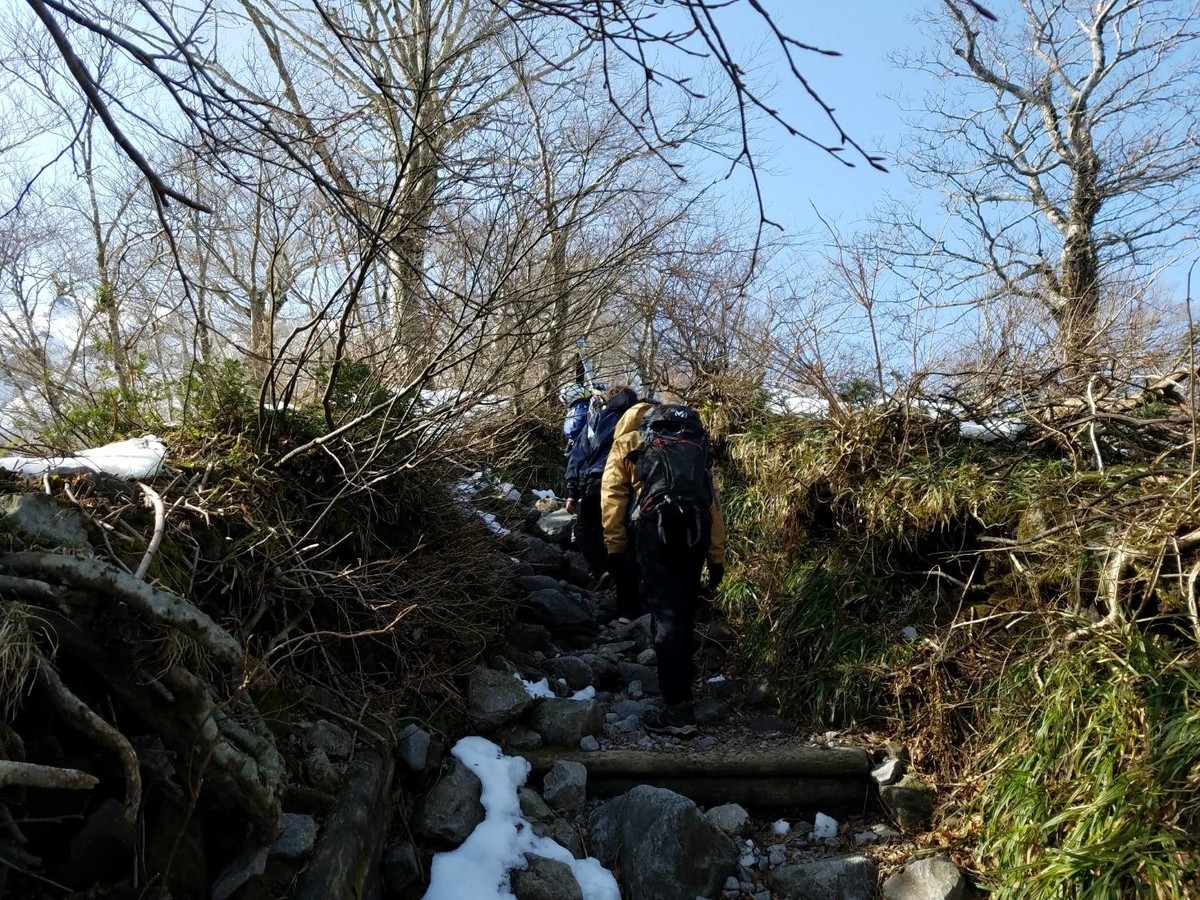 f:id:niwaka-man:20191118135441j:plain