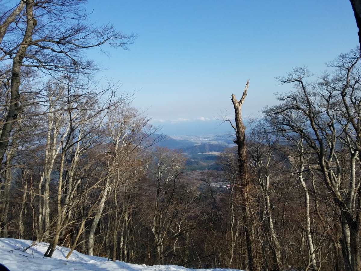 f:id:niwaka-man:20191118135500j:plain