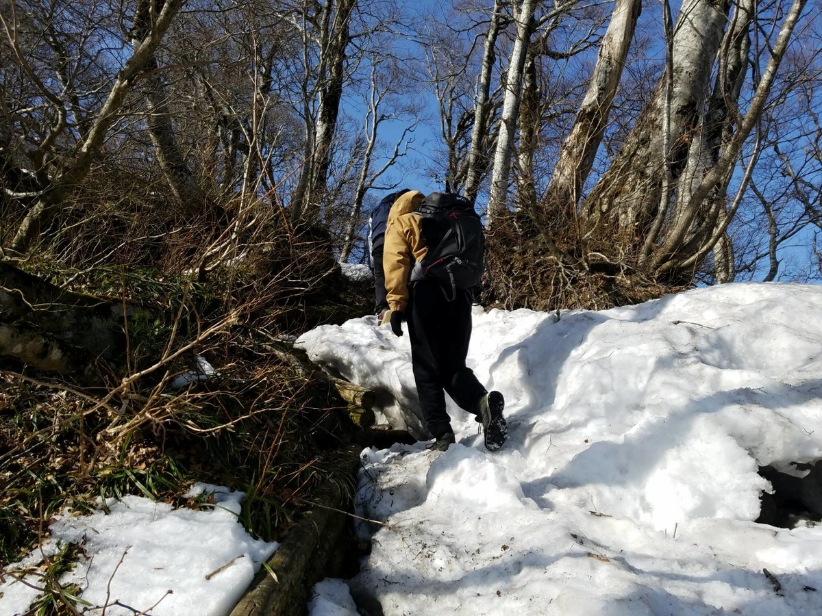 f:id:niwaka-man:20191118135600j:plain