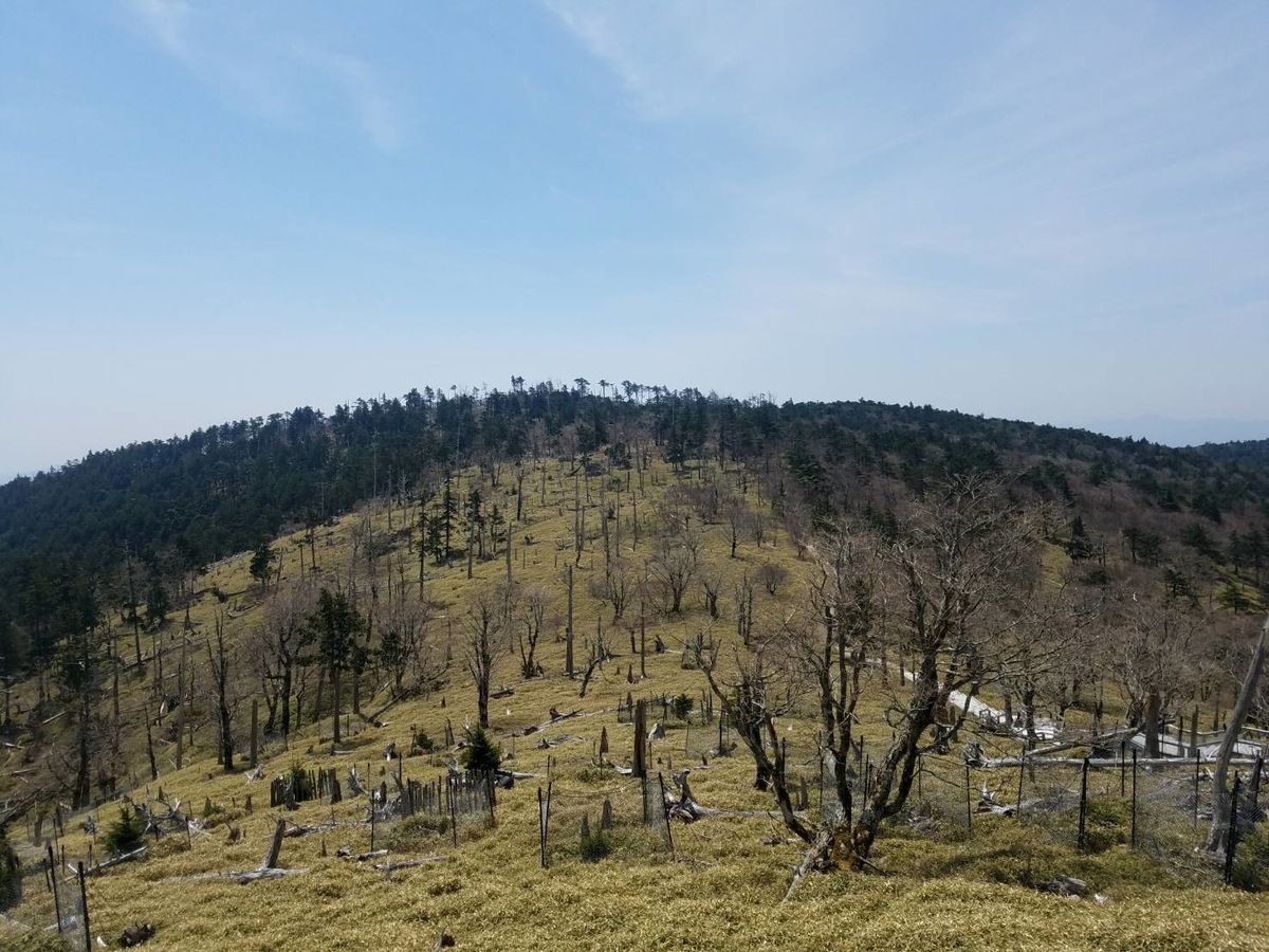 f:id:niwaka-man:20191206194226j:plain