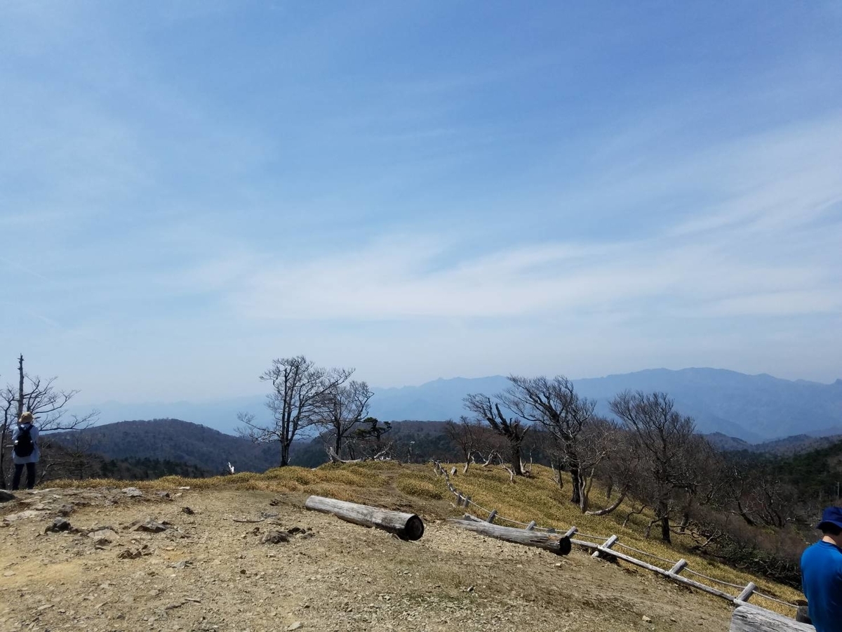 f:id:niwaka-man:20191206194426j:plain