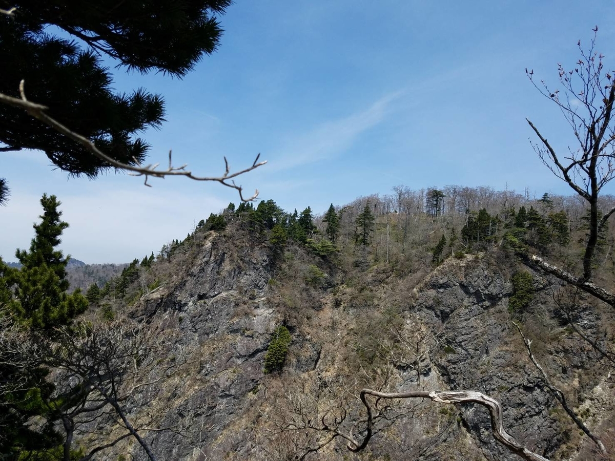 f:id:niwaka-man:20191206195537j:plain