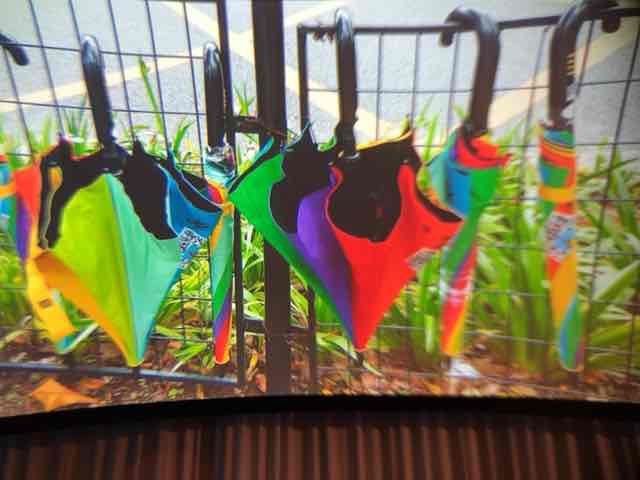 f:id:niwatako:20180405103710j:plain