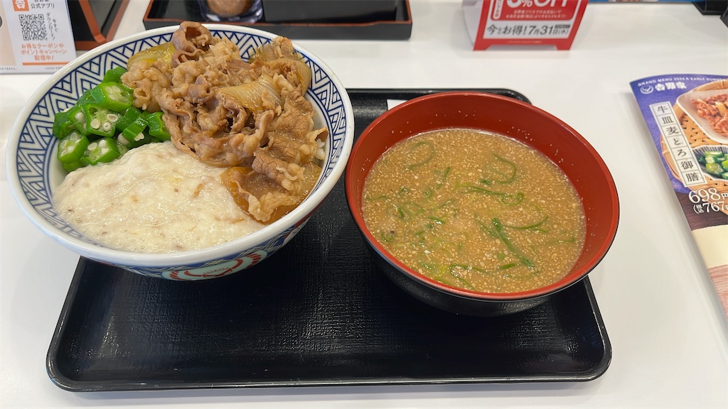 f:id:niwatori51:20240617004013j:image