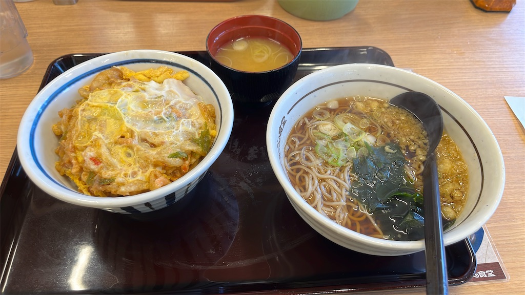 f:id:niwatori51:20250308133323j:image