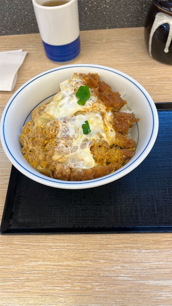 f:id:niwatori51:20250329172129j:image