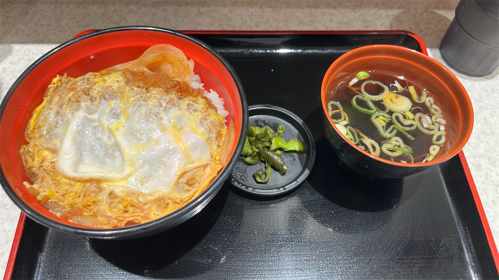 f:id:niwatori51:20250525205843j:image