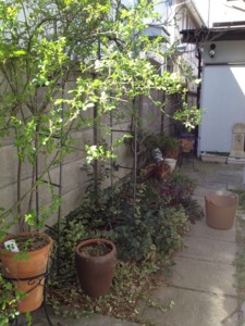 f:id:niwazou:20140326205207j:image:left:w200