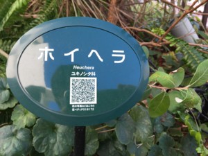 f:id:niwazou:20150121135248j:image:right