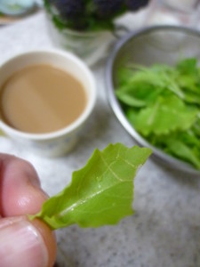 f:id:niwazou:20150209182620j:image:left:w190