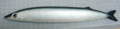 20100922230206