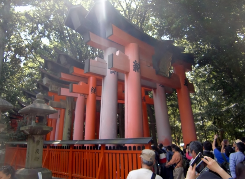 イメージ 5