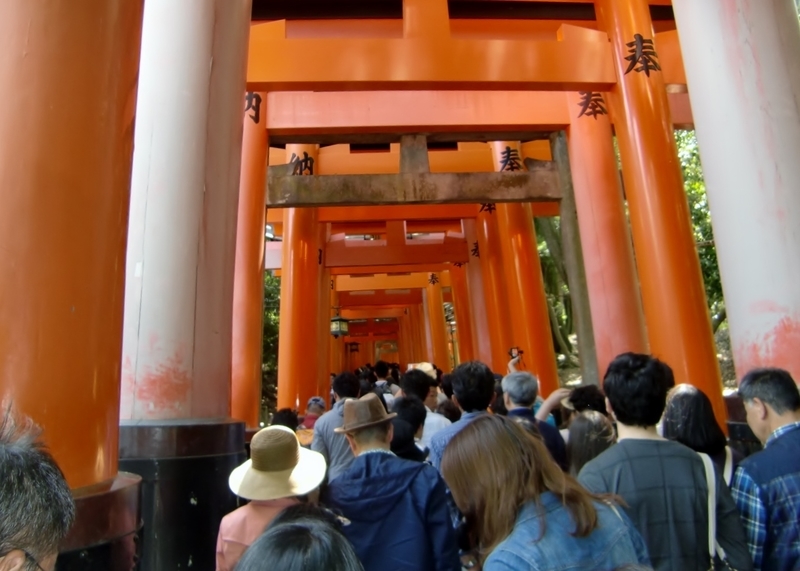 イメージ 6