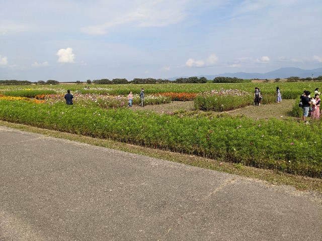 f:id:nizansa:20201004175942j:image