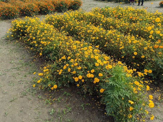 f:id:nizansa:20201004180106j:image