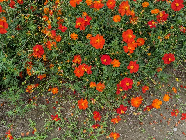 f:id:nizansa:20201004180201j:image