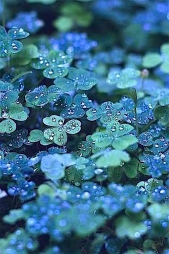 雨の日 涙の浄化作用 はるかの遥かなる毎日