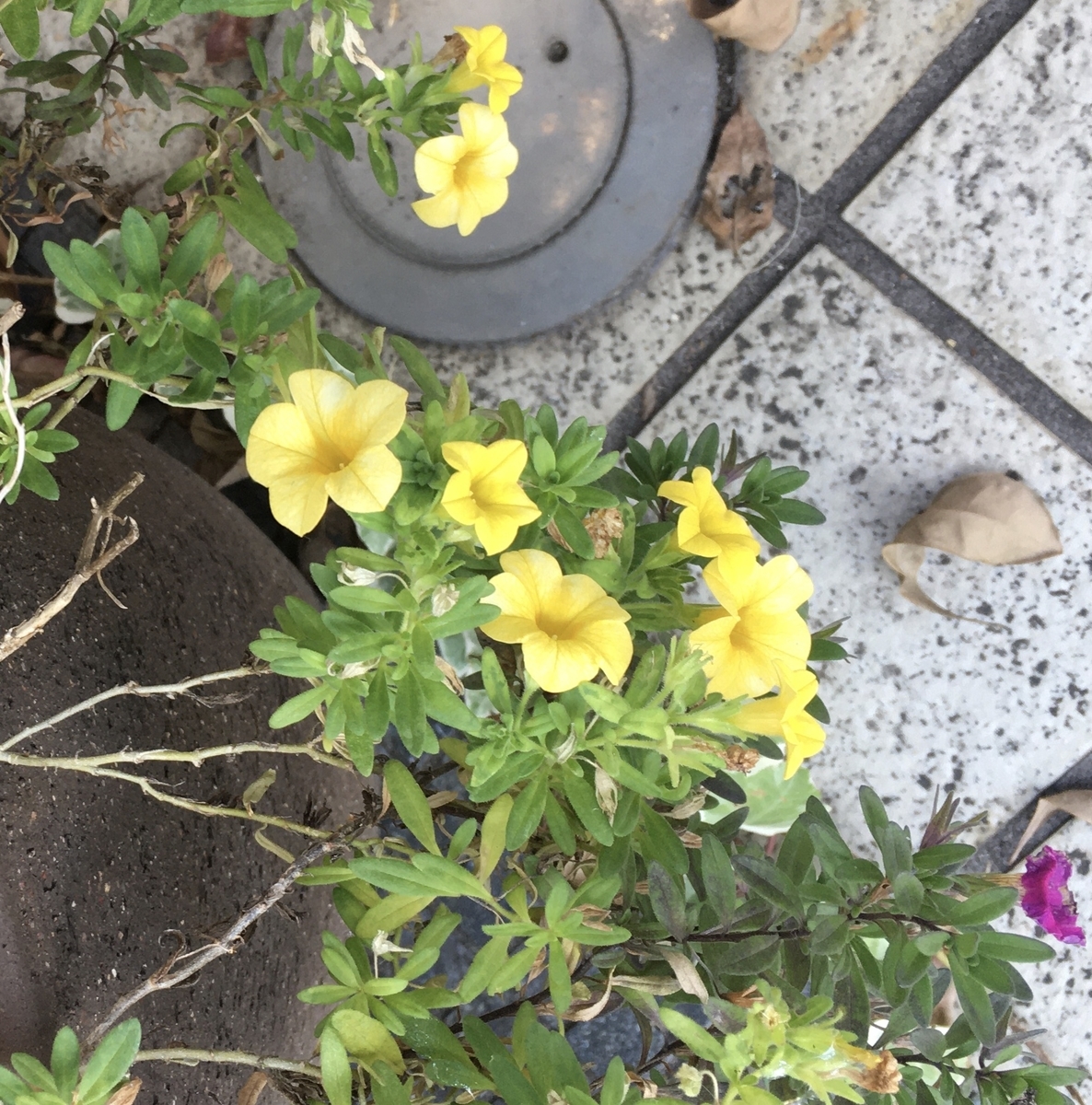 f:id:niziirokokuban:20191110164807j:plain f:id:niziirokokuban:20191110164807j:plain