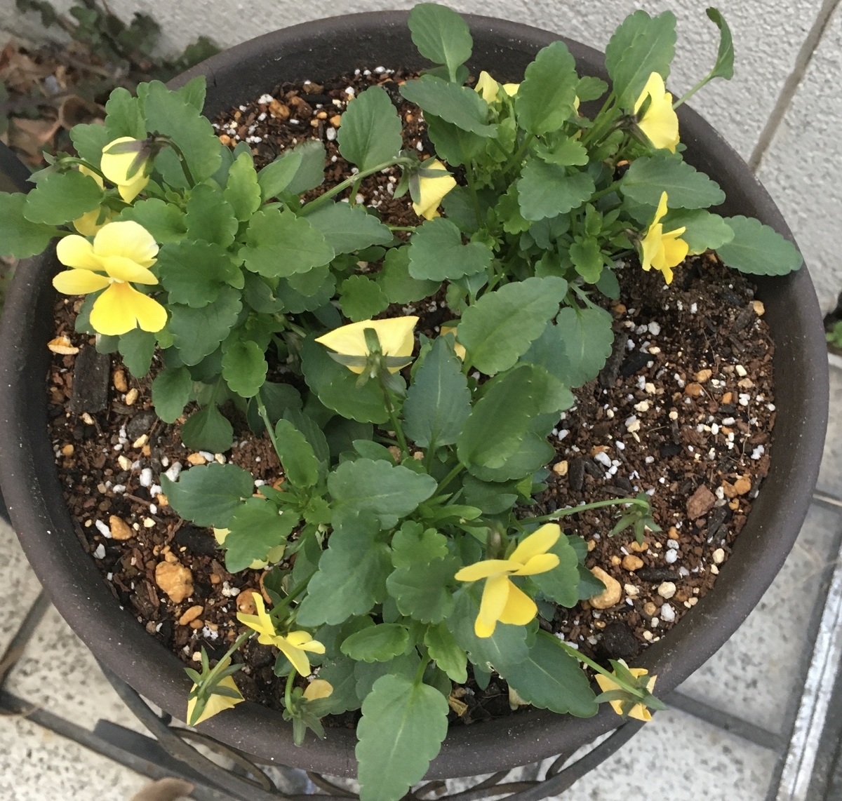 f:id:niziirokokuban:20191207163135j:plain f:id:niziirokokuban:20191207163135j:plain