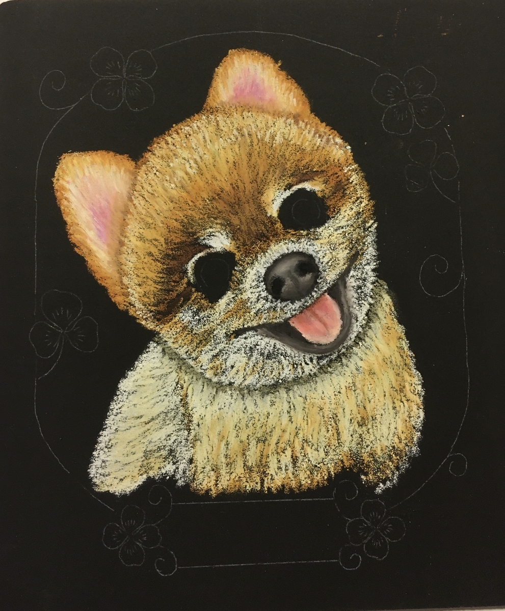 タヌキ顔のポメラニアンを描いてみました - にじいろ黒板通信