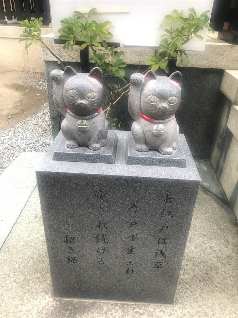 f:id:njp9mmkmt:20190908211704j:image