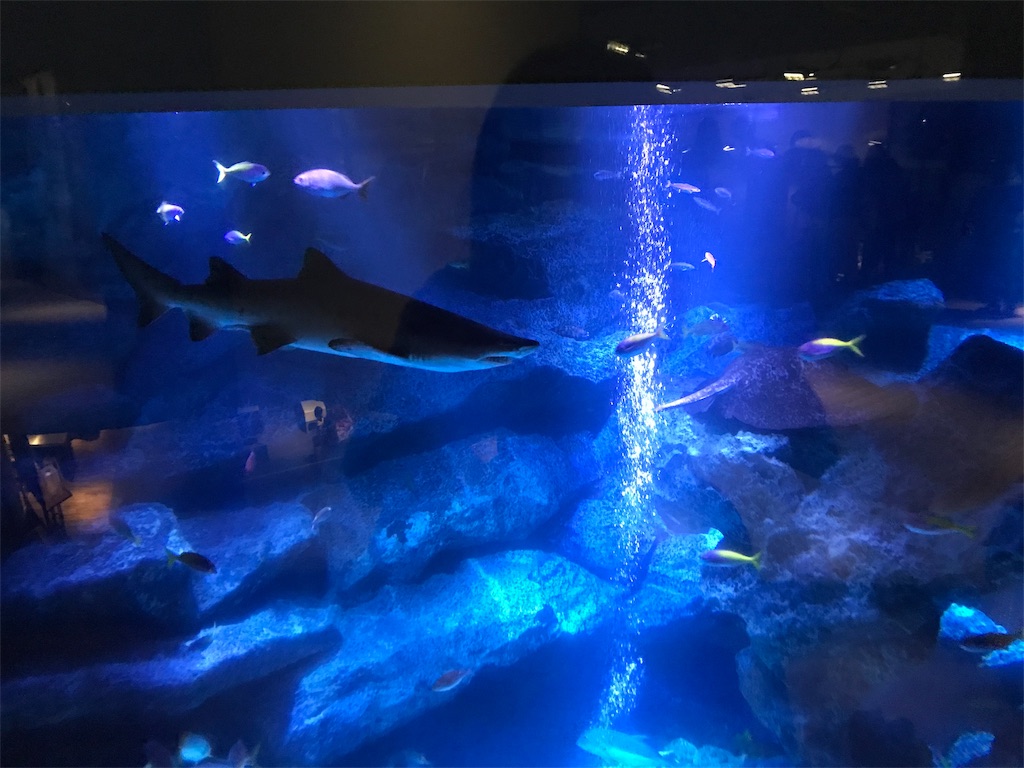 f:id:njp9mmkmt:20190909175249j:image