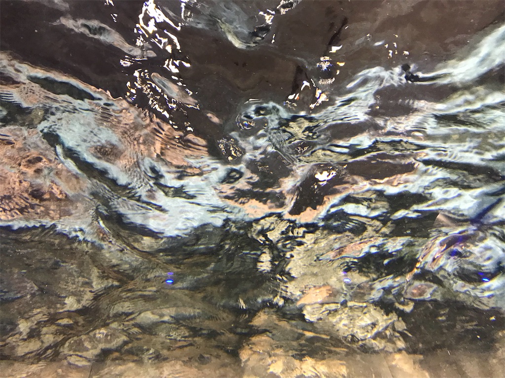 f:id:njp9mmkmt:20190909175254j:image