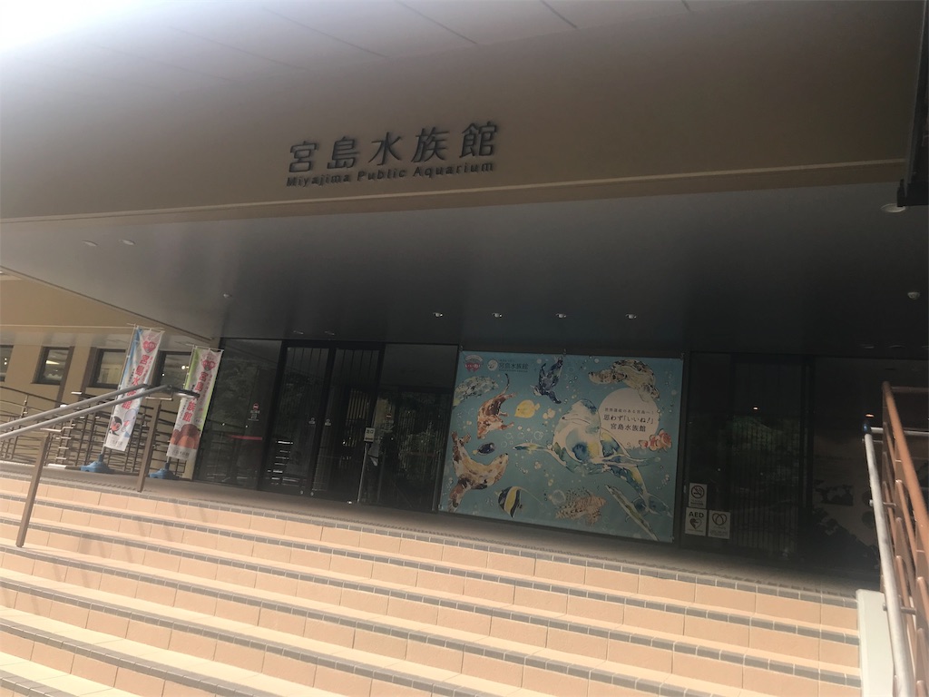 f:id:njp9mmkmt:20191004203316j:image