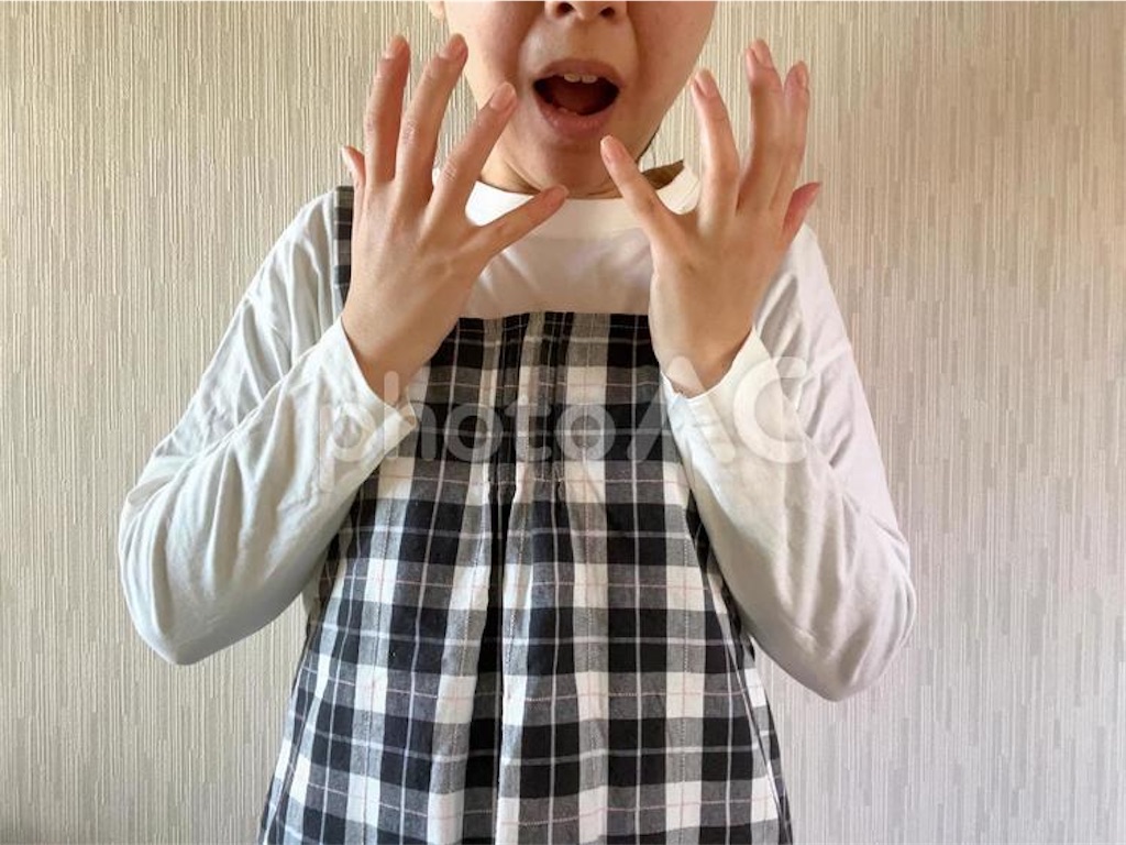 f:id:nk0105:20240514095333j:image f:id:nk0105:20240514095333j:image
