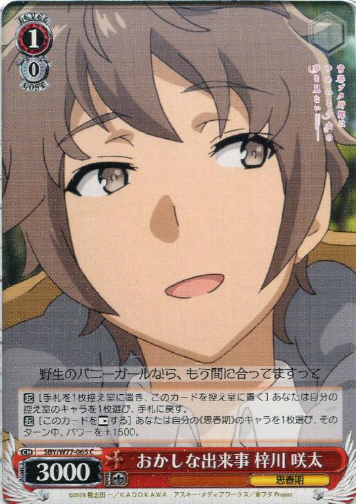 f:id:nk_mdt_893:20200427161408j:plain