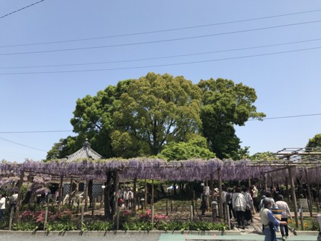 f:id:nkawai:20170502112339j:image