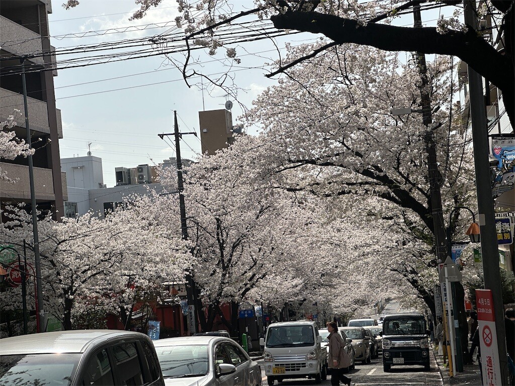 f:id:nkawai:20250406044111j:image