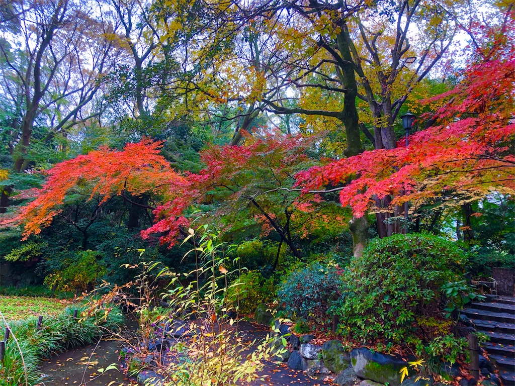 f:id:nkazu5121:20181203161647j:image