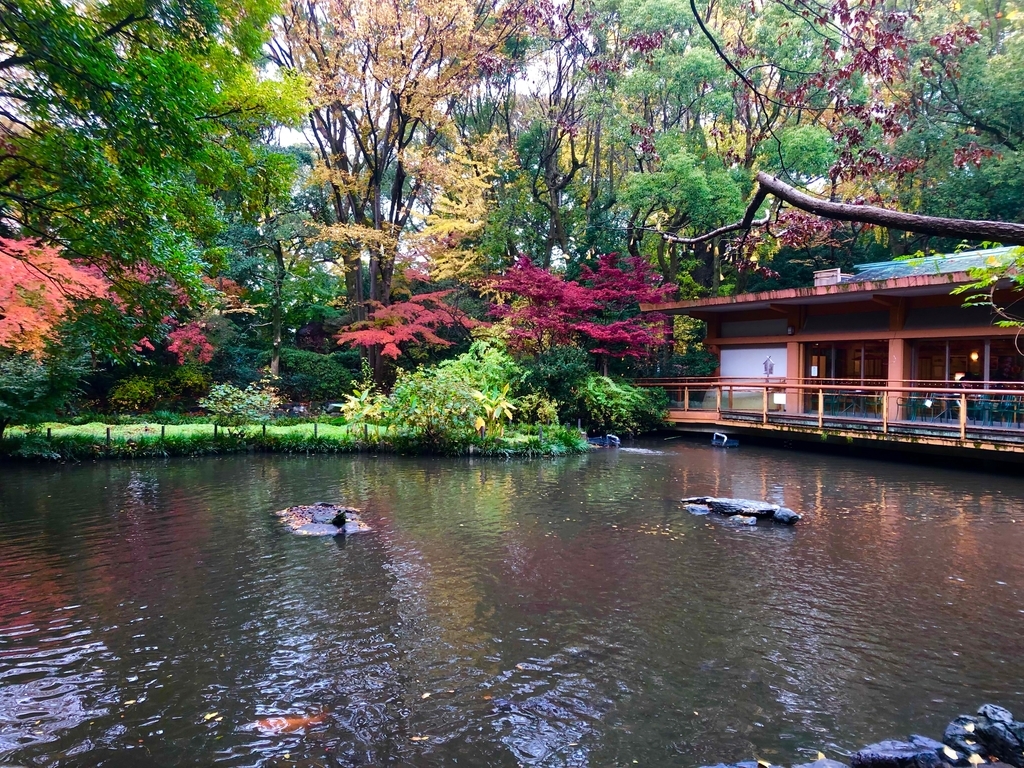 f:id:nkazu5121:20181203164522j:plain