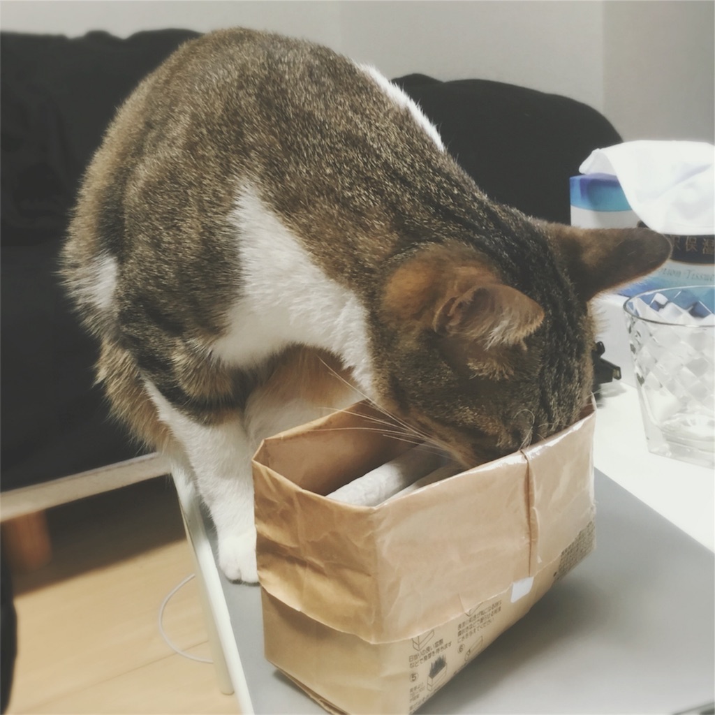 f:id:nkhoney:20180414215130j:image f:id:nkhoney:20180414215130j:image