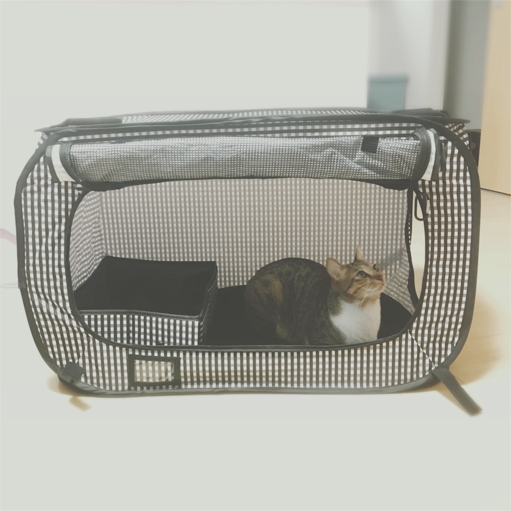 f:id:nkhoney:20180505202445j:image f:id:nkhoney:20180505202445j:image