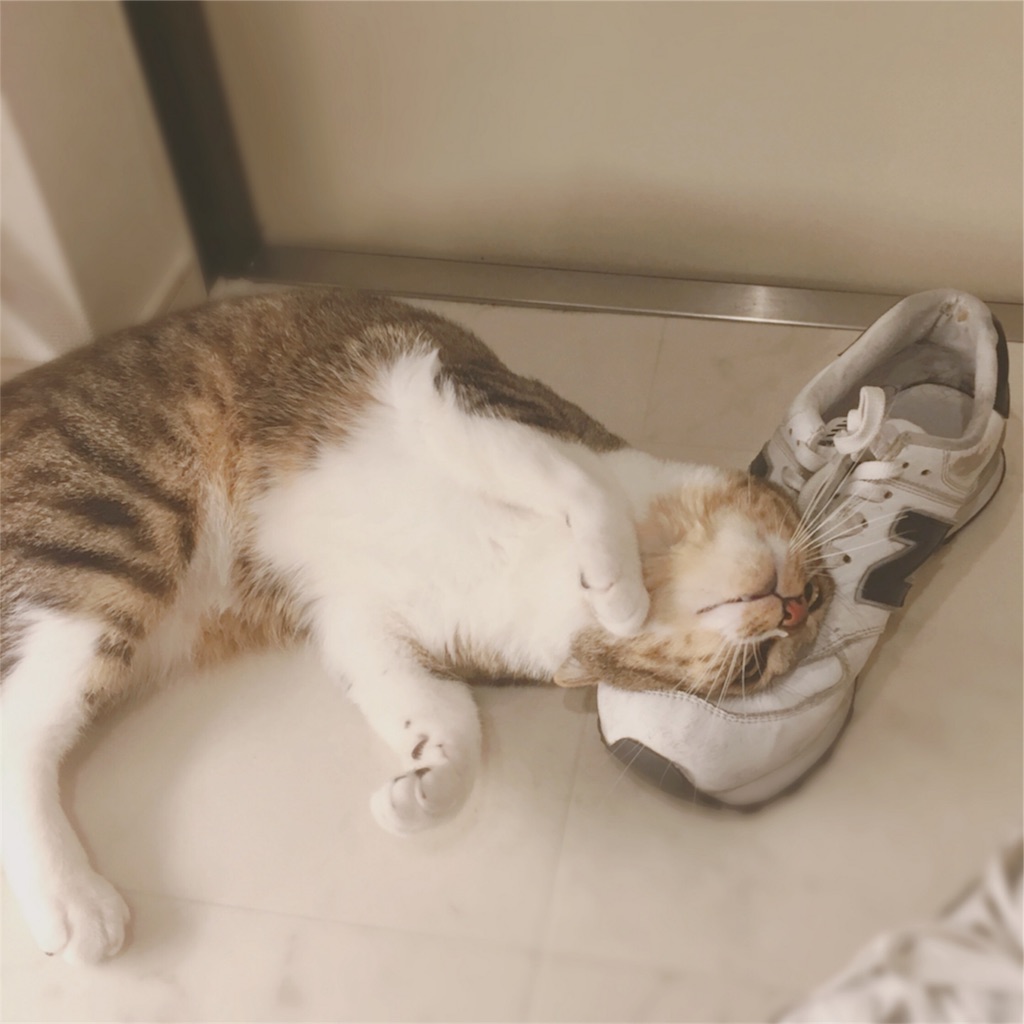 f:id:nkhoney:20180515205529j:image