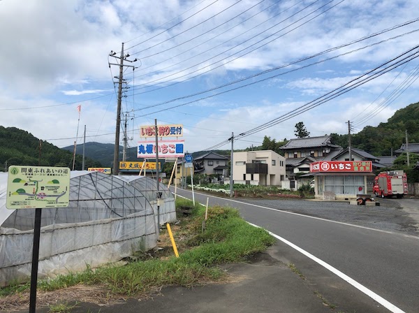 f:id:nkimra:20190831202947j:plain
