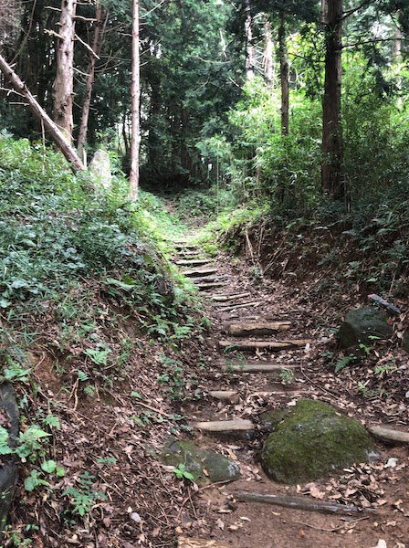 f:id:nkimra:20190831203614j:plain
