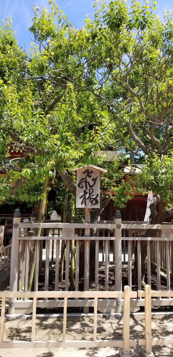 f:id:nkj0306n:20190521214935j:plain