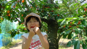 f:id:nkj_nonno:20110717101521j:image