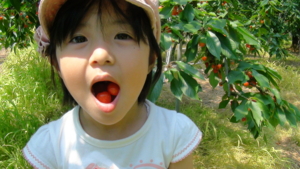 f:id:nkj_nonno:20110717101618j:image f:id:nkj_nonno:20110717101618j:image