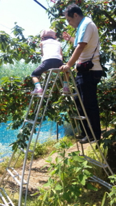 f:id:nkj_nonno:20110717103338j:image
