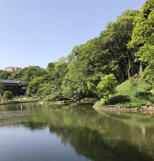 f:id:nkmk5:20180531235844j:plain
