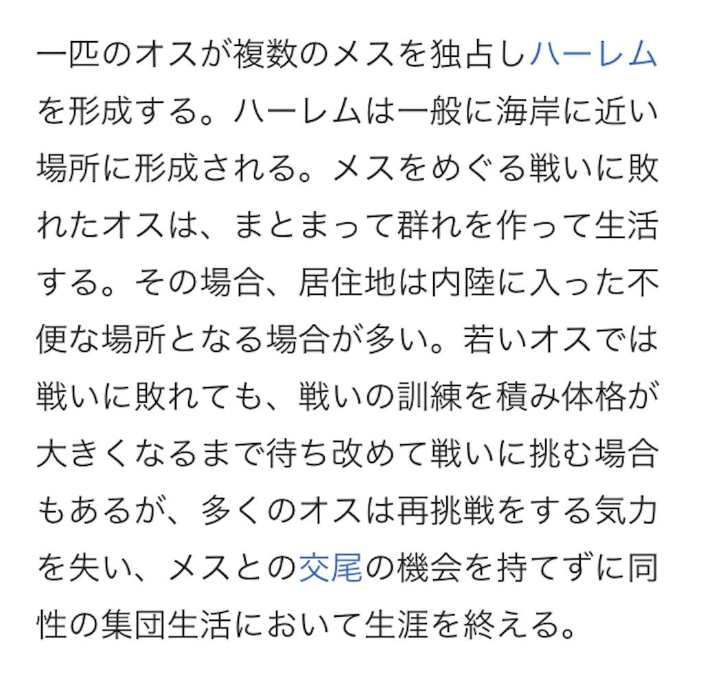 f:id:nknk_riri:20190524094818j:image f:id:nknk_riri:20190524094818j:image