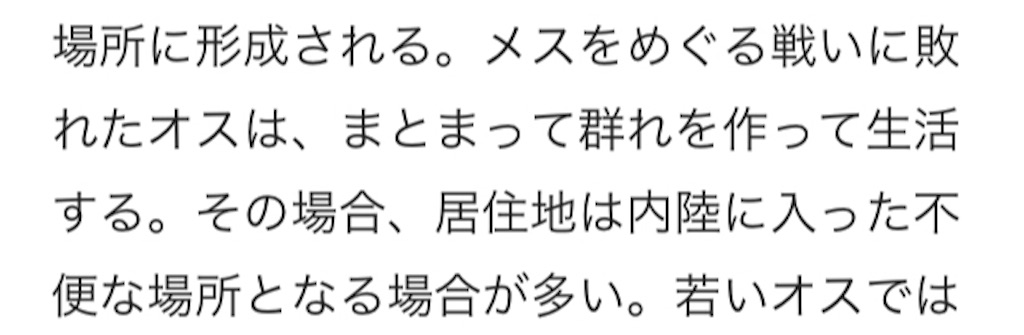 f:id:nknk_riri:20190524095301j:image f:id:nknk_riri:20190524095301j:image