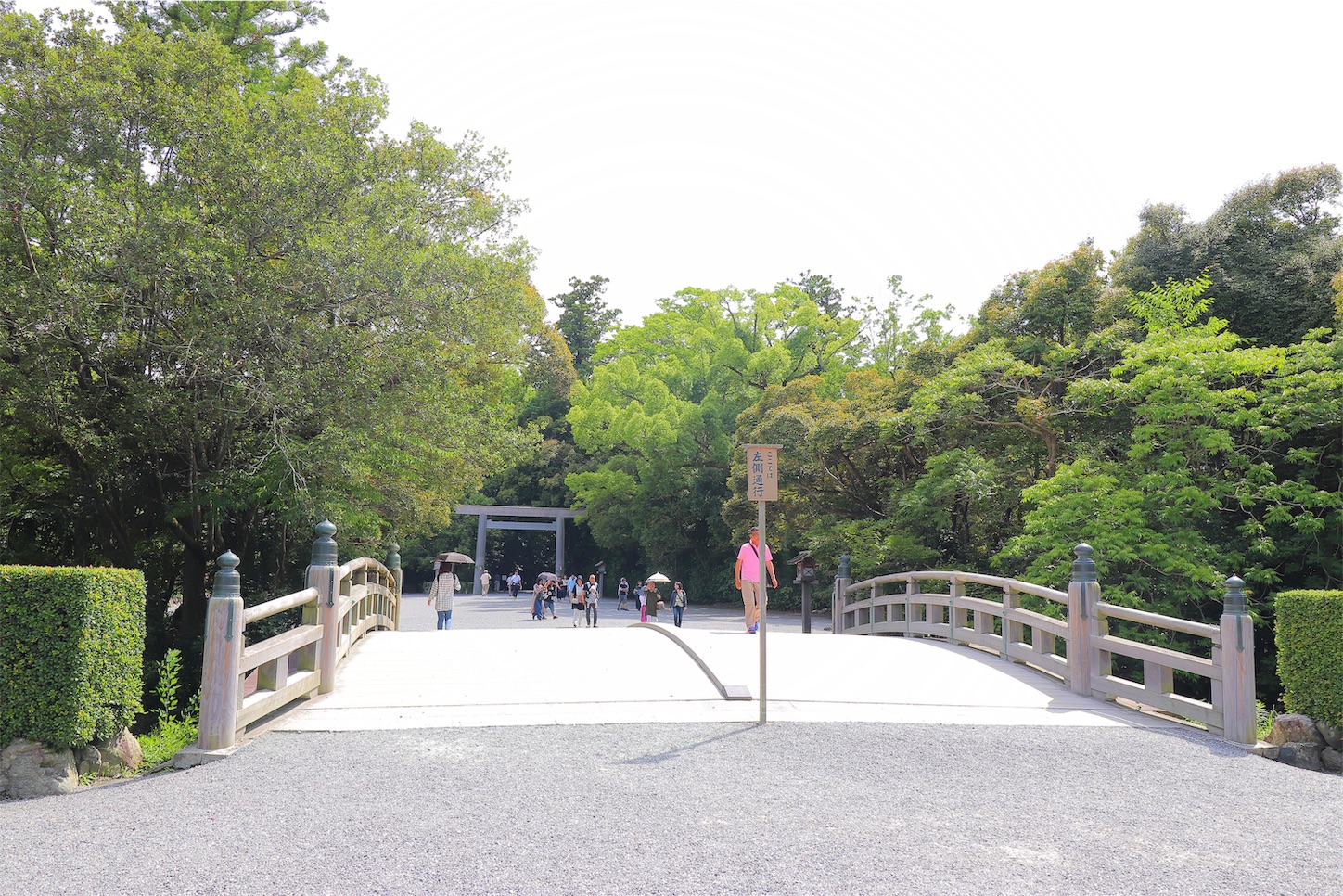 f:id:nknn-3:20190629111408j:image f:id:nknn-3:20190629111408j:image