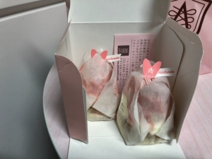 20190329モンブラン横