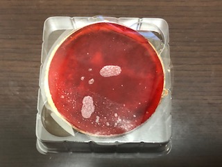 フレーズ