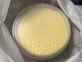 ハニーレモンバターケーキ（BUTTER & bee）4